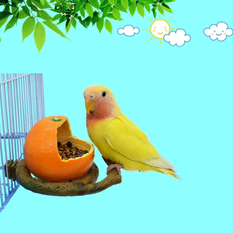 

1pc Hot Selling Parrot Cage Bowl Hanging Fashion Creativity Plastic Realistic Orange Shape Bird Bowl Bird Food Cup Bird Supplies