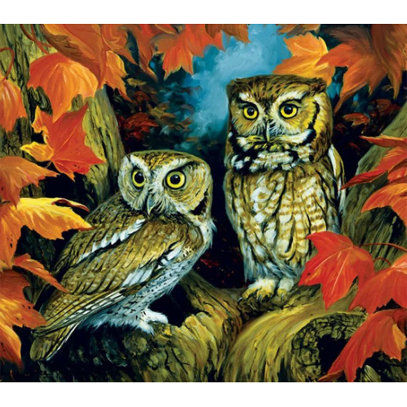 

5D DIY Diamond Painting Square/Round Diamond Animal Painting Branches Owl Beautiful Pictures Cross Stitch Mosaic Decor TX1101