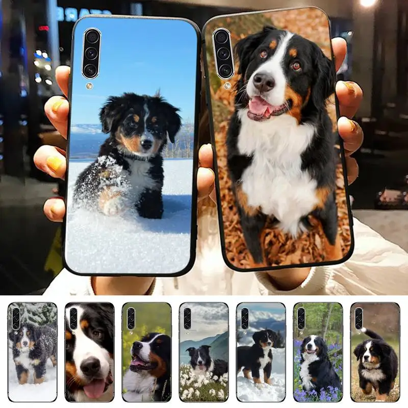 

Bernese Mountain Dog animal Phone Case For Samsung galaxy A S note 10 12 20 32 40 50 51 52 70 71 72 21 fe s ultra plus
