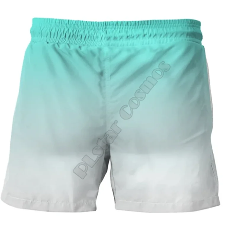 Рисунок 2 - Летние повседневные шорты PLstar