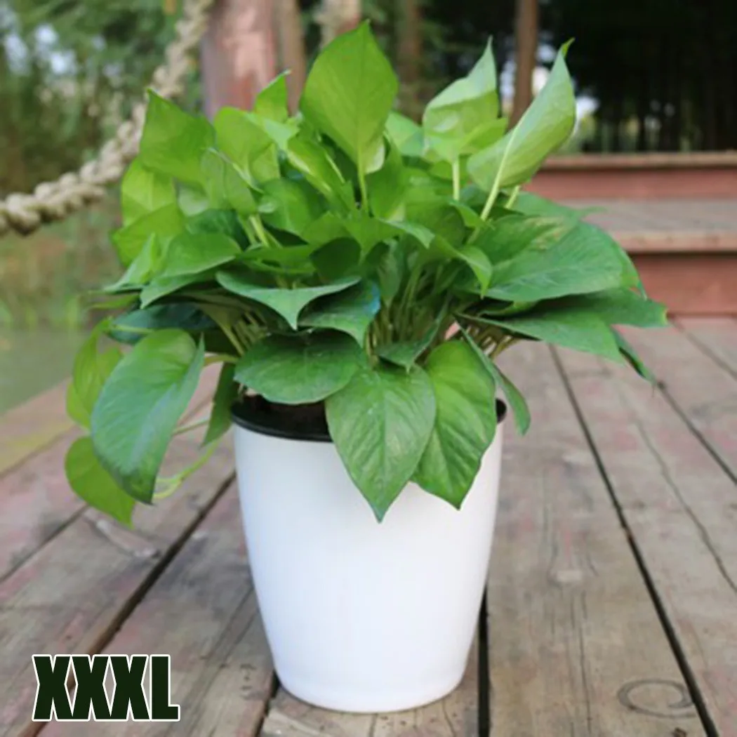 

1*Outer Pot 1* Inner Pot 1*Cotton Rope For Lazy Flower Pot Flowerpot Imitation Porcelain Series Plastic Self Watering Pot