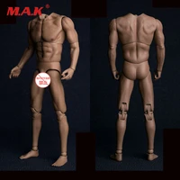 worldbox at017 16 male figure body 12 inch durable wide shoulder universal man body in stock