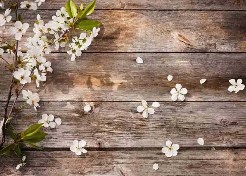 

SHENGYONGBAO Vinyl Custom Photography Backdrops Prop Wood Planks Theme Photo Studio Background KL199123-712455