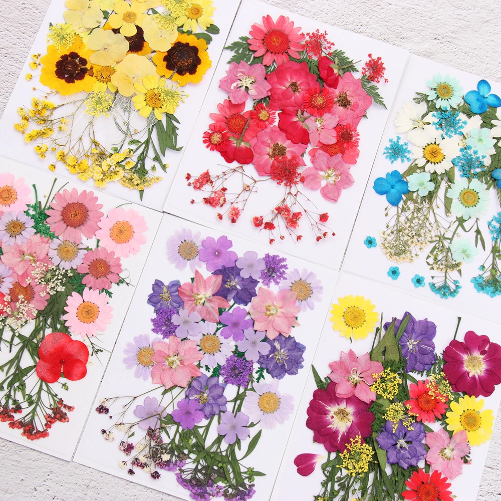 

Dried Flowers UV Resin Mold Filling Flower Natural Plants Pressed Dried Flowers Decor Nail Art Beauty Decal Epoxy Mold Filling