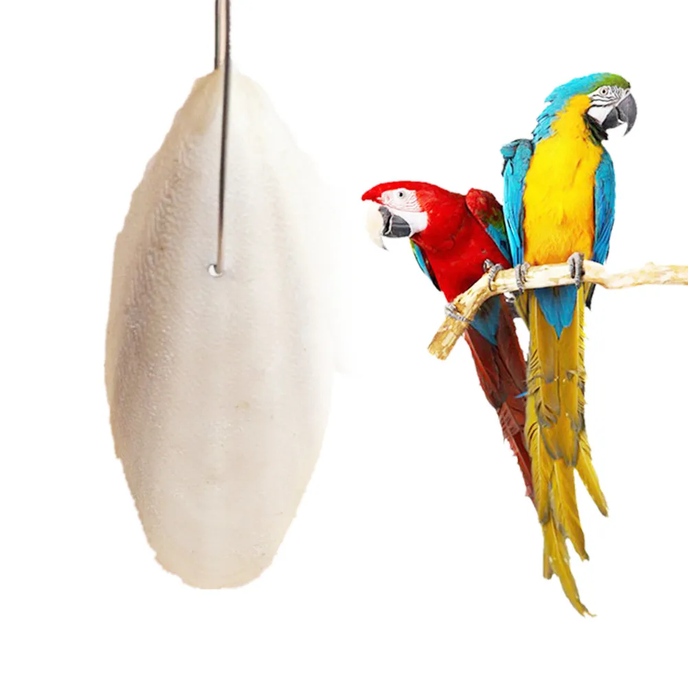 Шлепанцы для рыбы кости попугаи рептилии кролики черепахи принадлежности