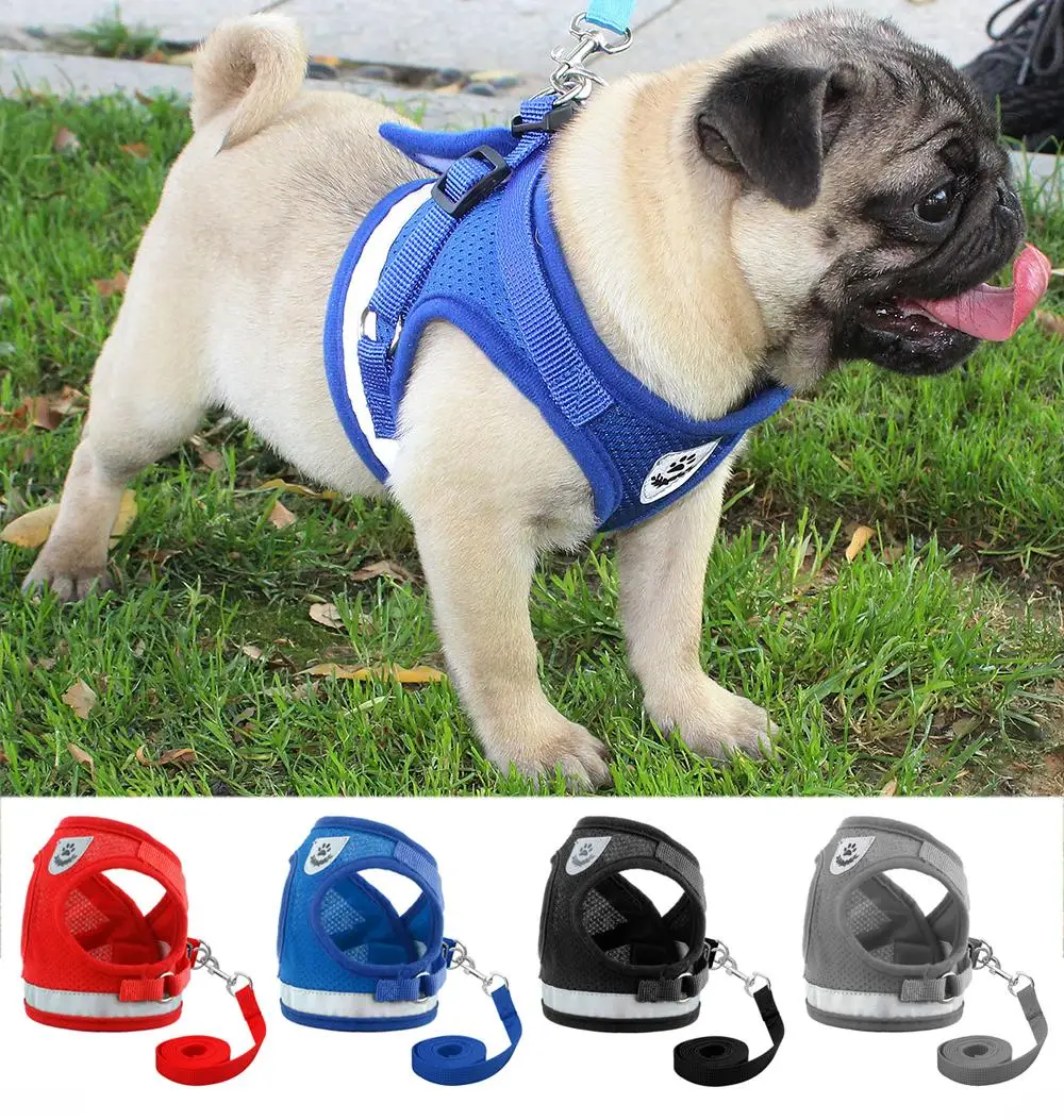 Pet Dog for Chihuahua Pug Small Medium Cats Dogs Outdoor Puppy Mesh Vest Reflective Walking Lead LeashA | Дом и сад