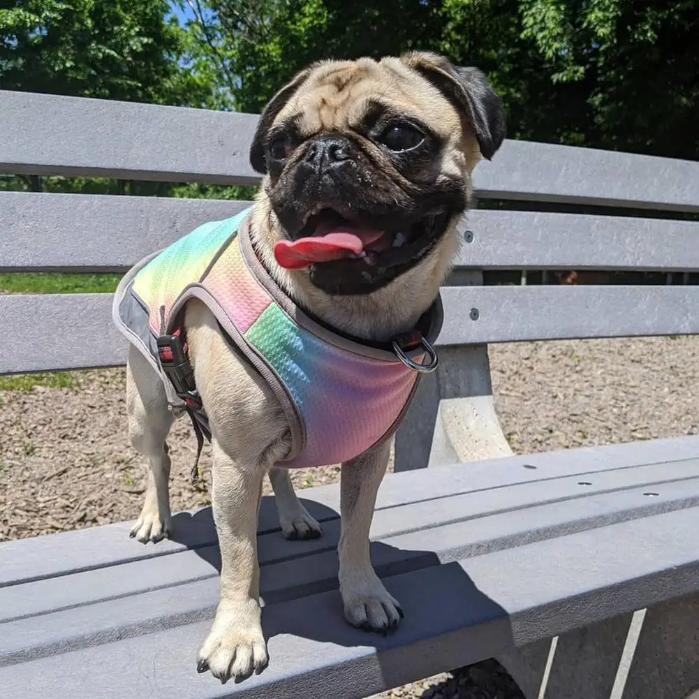 

Pet Dog Summer Cooling Clothes Rainbow Color Cool Clothes Anti-heatstroke Vest Suitable For French Fighting Dogs Pets Supplies