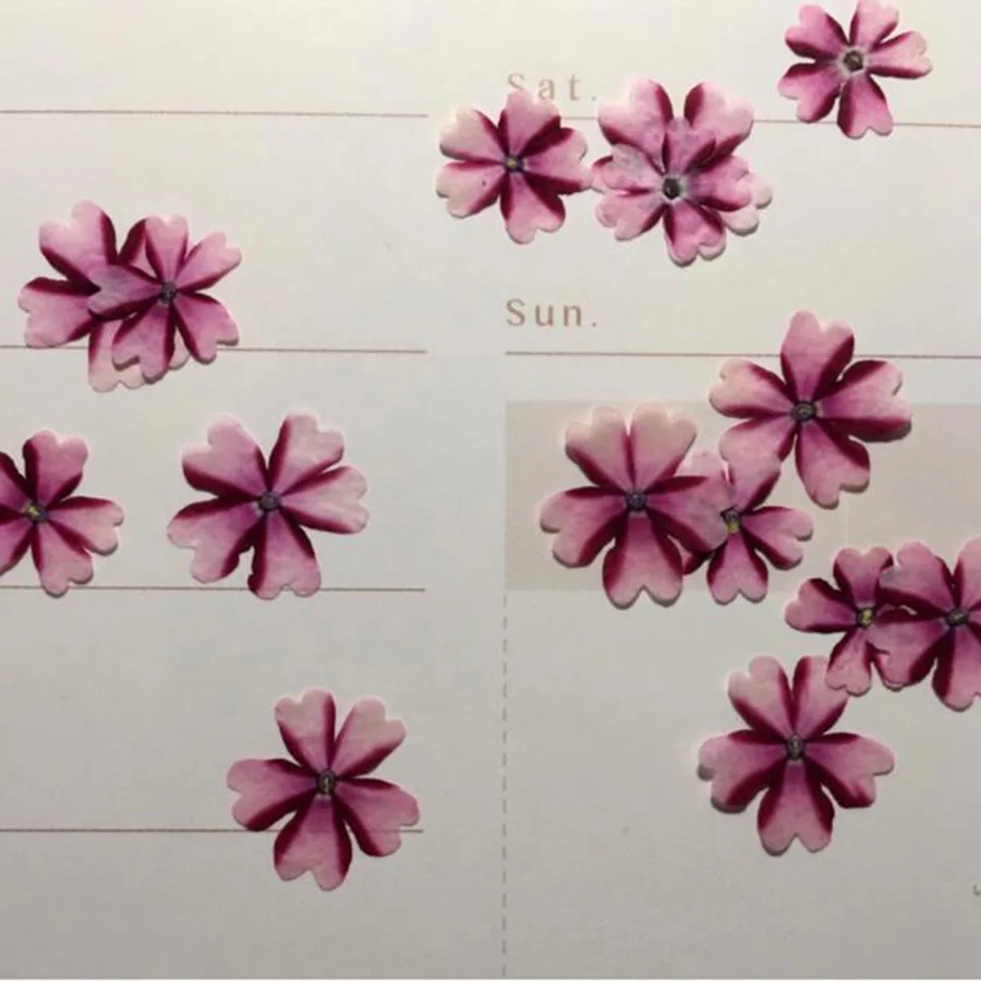 60 шт. прессованный высушенный Вербена Hortensis цветок для Ювелирная Закладка