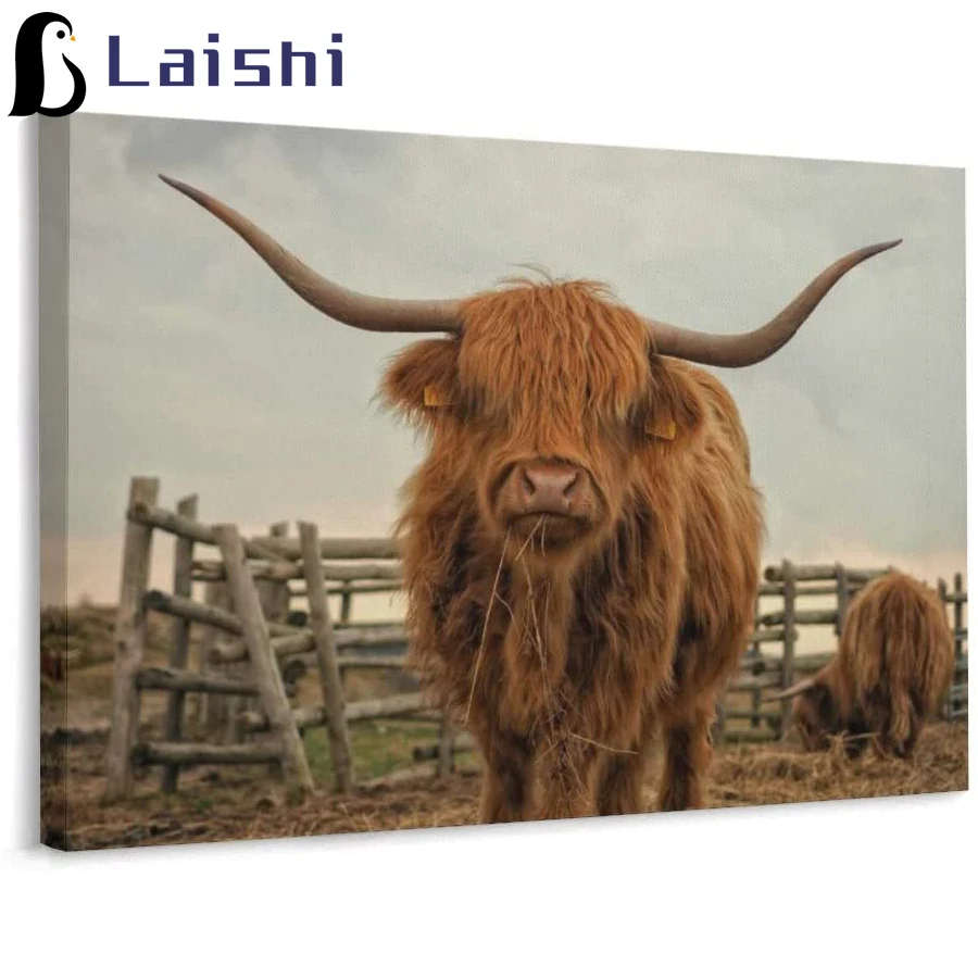 

Animal art, Dutch highland cattle Full circle diamond painting handmade diamond embroidery mosaic art kit home decoration