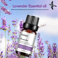 100 pure lavender essential oil premium grade lavender oil for aromatherapy relaxation skin care and hair growth 10ml