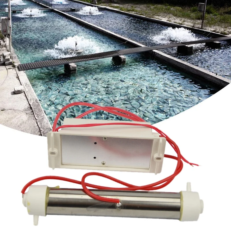 

HOT-110V 3000Mg/H Ozone Generator Ozone Tube Diy for Water Plant Purifier