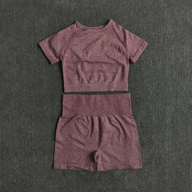 

Seamless Women Yoga Set Crop Top Short Sleeve Shirt Fitness Shorts Workout Clothes For Women Gym Clothing Yoga Sport Set