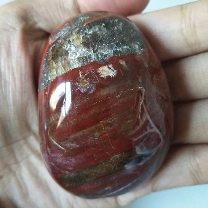 Натуральное дерево fossilThe fossilized камень из натуральной деревянной пальмы