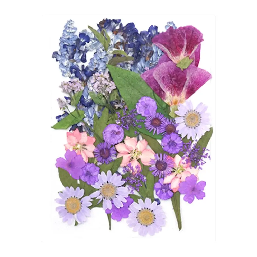 

DIY Mixed Multiple Dried Flower Leaves Petals for DIY Birthday Desktop Beautiful Dried Pressed Flowers Colorful Flower Petals