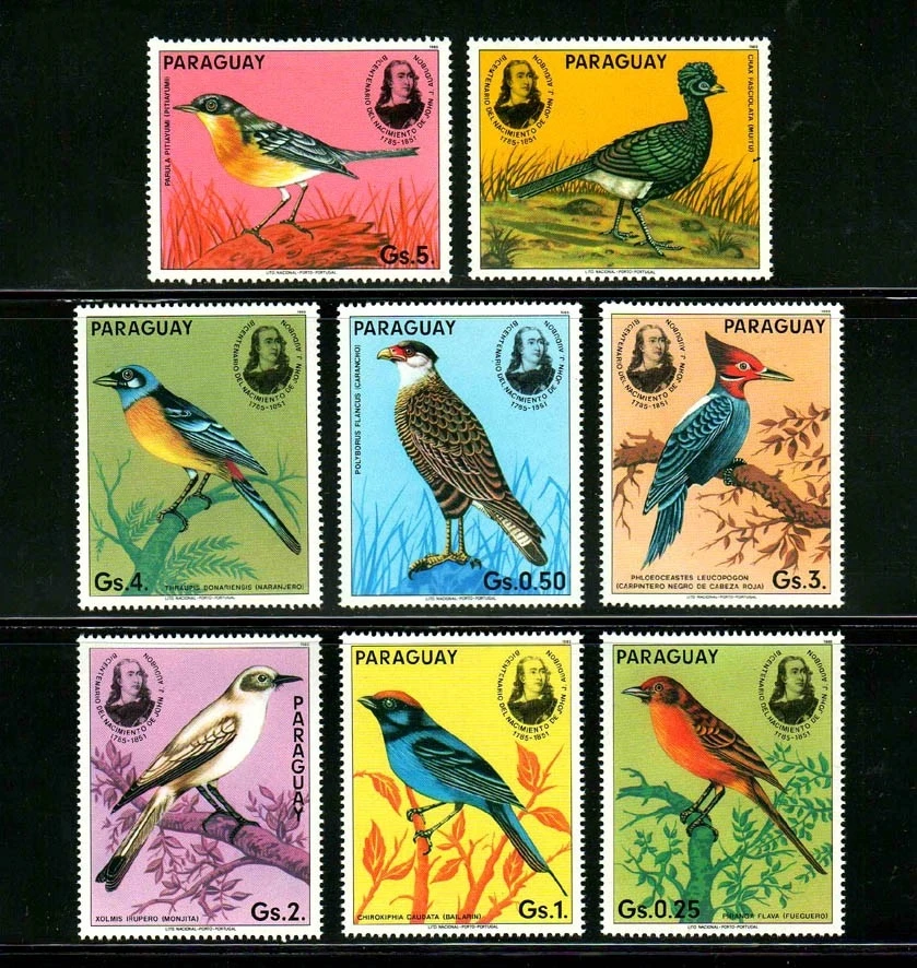 

8 шт./компл. Новый парагвайский почтовый штамп 1985 Audubon живопись Птицы штампы MNH