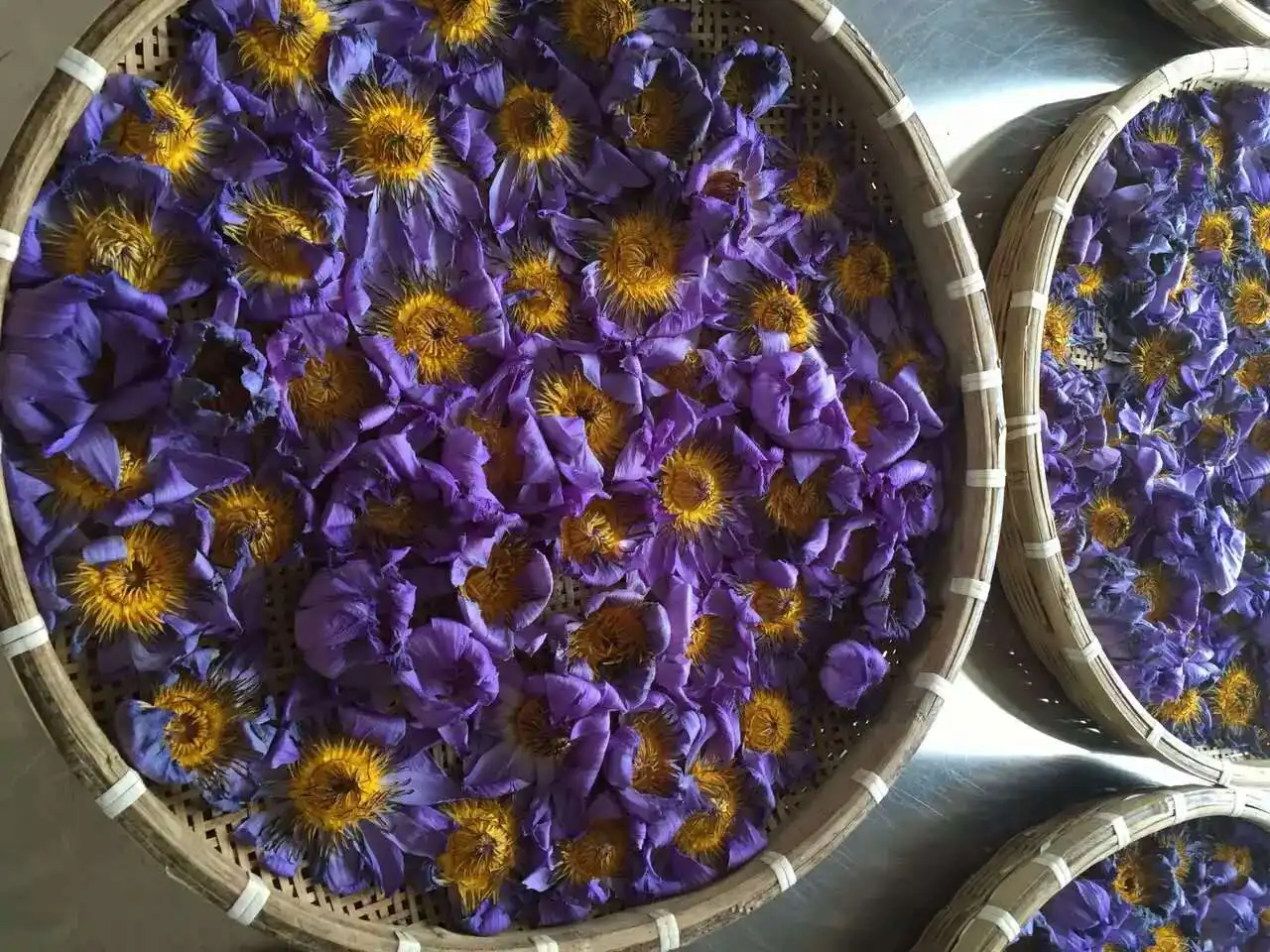 Голубой Лотос высушенный целый цветок цветущая Нимфа кэрулея|Искусственные и