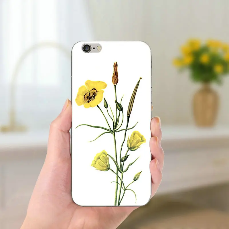 Матовые красивые цветные чехлы с цветочным рисунком для iPhone чехол 5 SE 5C блестящий