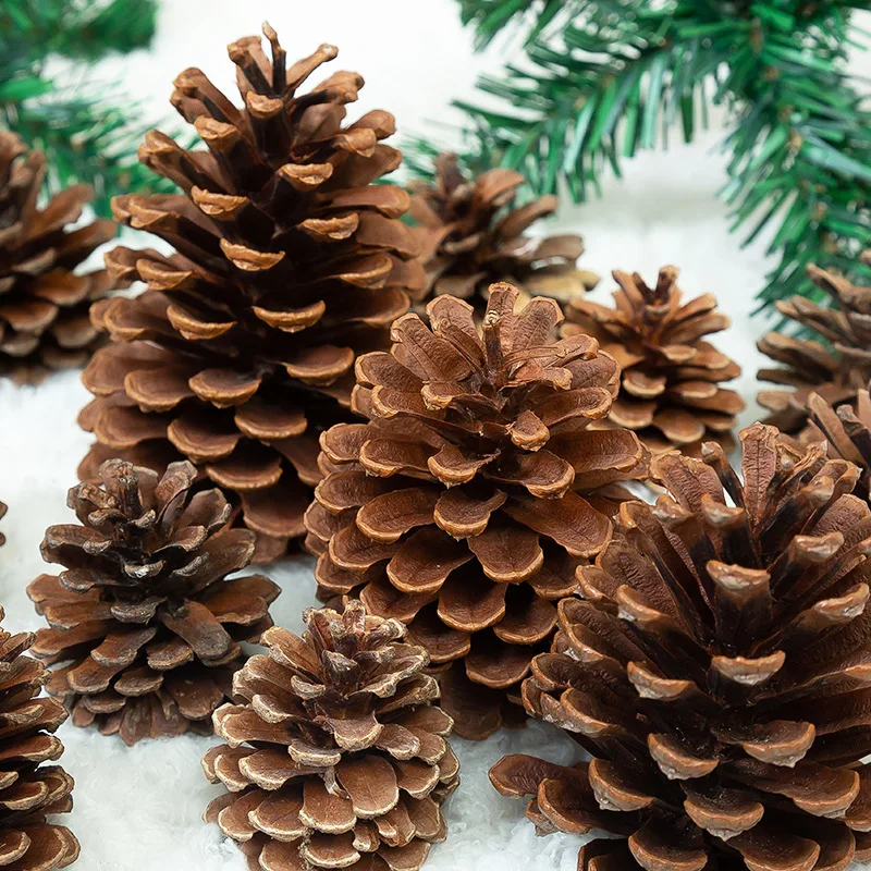 

Multi Size Natural Dried Mini Pine Nuts Artificial Plants Pine Cones for Home Wedding DIY Garland Wreath Christmas Decoration