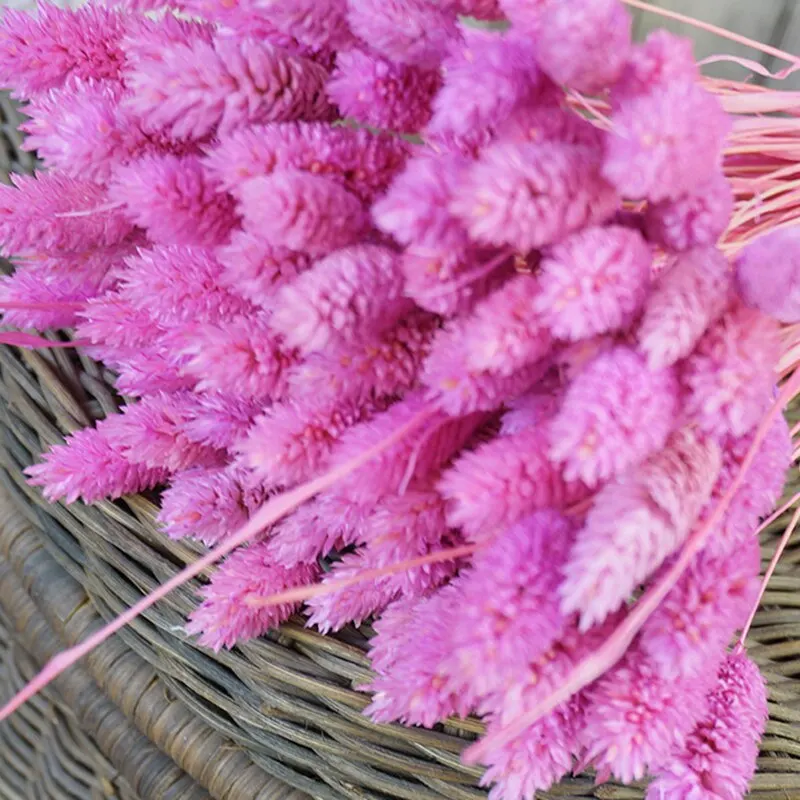 Букет высушенных цветов букеты имитация натуральных растений для украшения дома