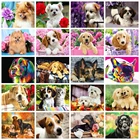 Набор для рисования по номерам картина AZQSD, 60x75 см, с рамкой, Собака Декор для дома