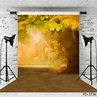 Фон для фотосъемки осень в стиле боке с изображением кленовых листьев и солнца для вечерние фотосъемки в студии