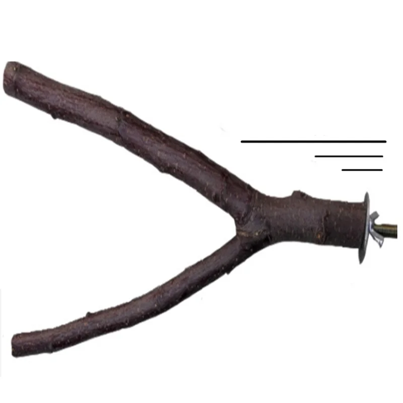 Клетка для птиц использование яблока деревянные стоячие ветки перчи попугай