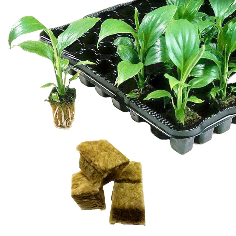 1 шт. гидропонный куб для выращивания растений|Детские лотки и крышки| |