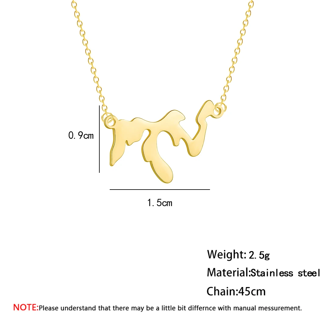 Chandler Great Lakes Map Necklace Rose Gold Dainty Geometry Link Chain Statement Small Pendant Memory Birthday Gifts Wholesale | Украшения