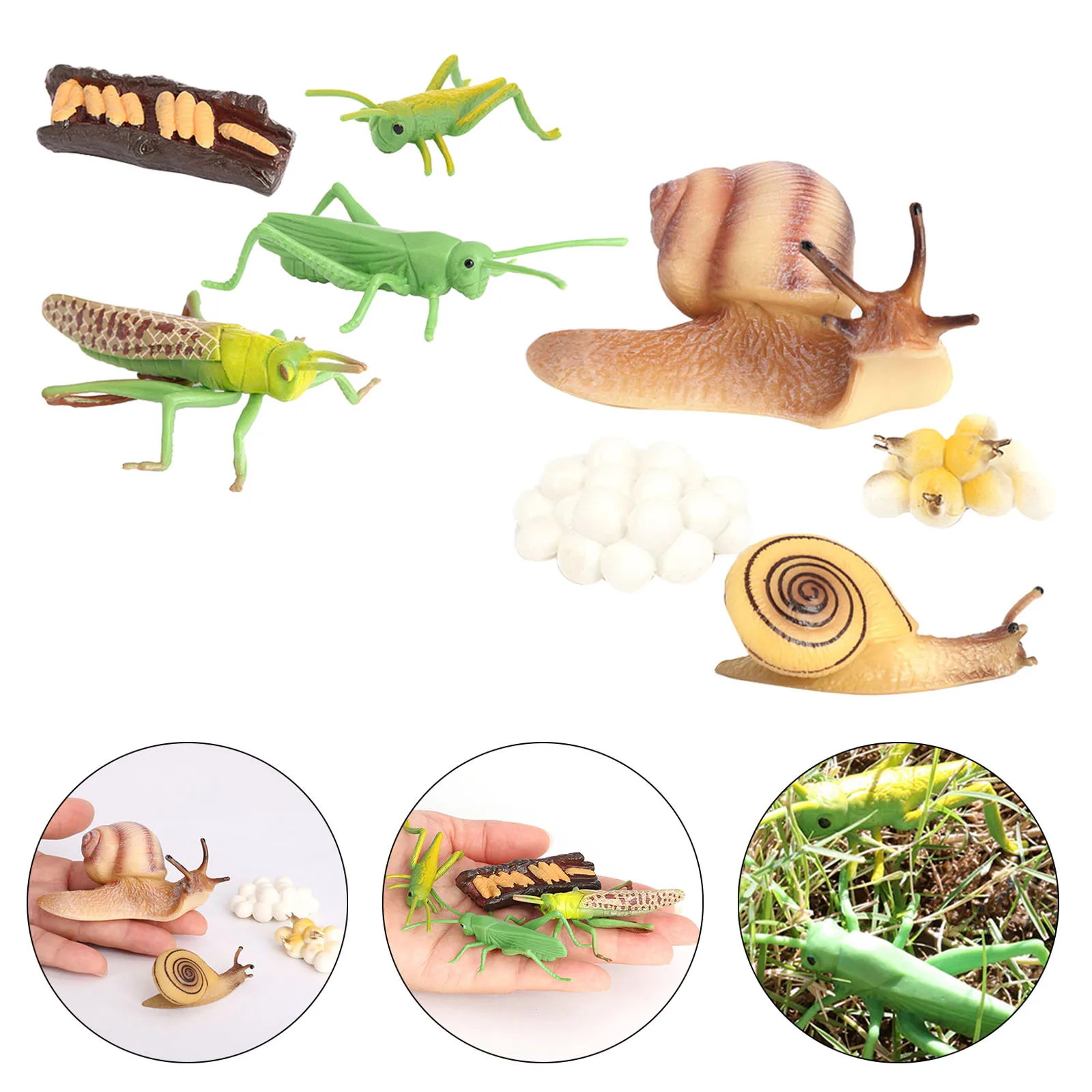 

Моделирование детей игрушечные фигурки животных, кузнечик, модели процессов роста улитки