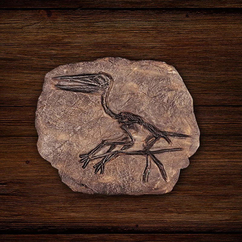 Тираннозавр Рекс Динозавр Fossil Jurassic Cretaceous 130 миллионов лет|Статуэтки и миниатюры| |
