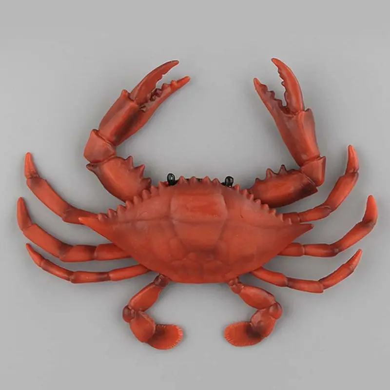 

Simulation Static Marine Animal Model Ornament Realistic Octopus Turtle Crab Toy J2HD