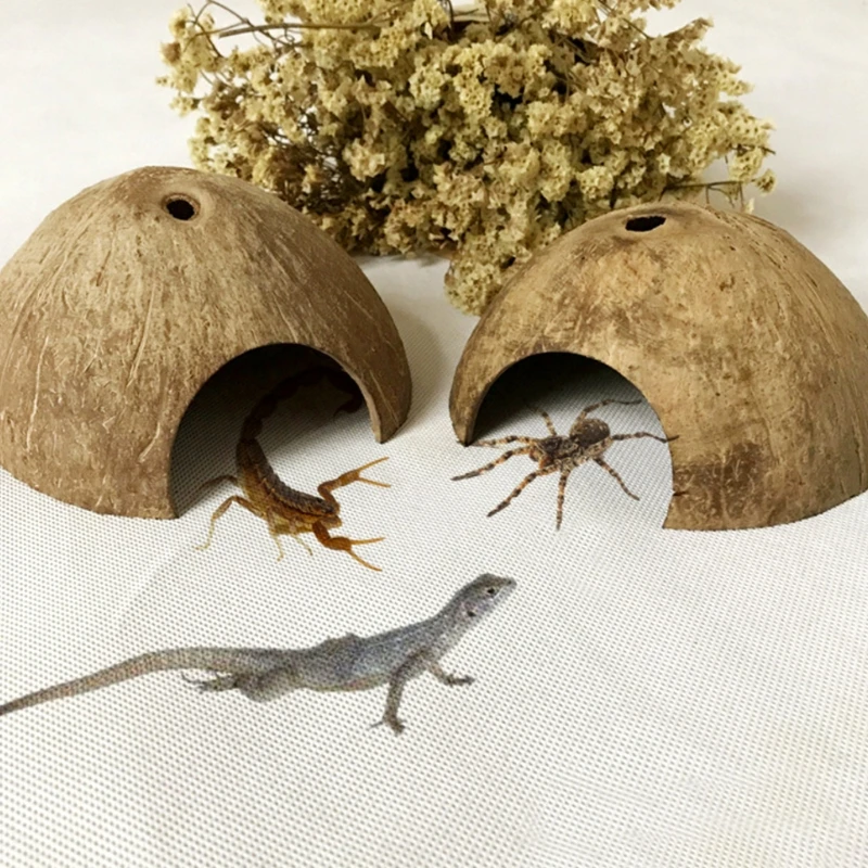 

1Pc Reptile Hide Habitat Natural Coconut Shell Lizard Spider Small Animal Cave House