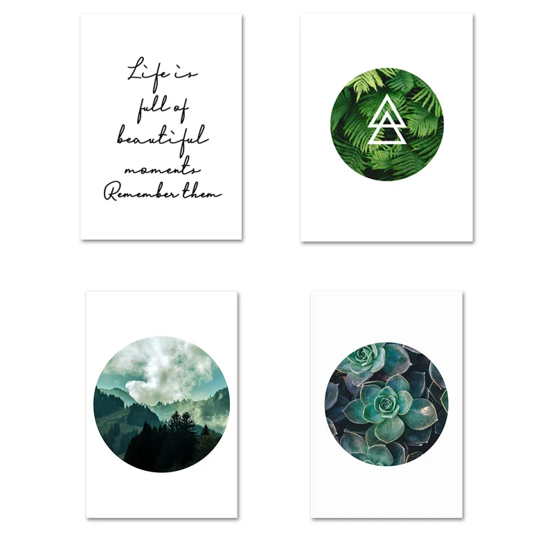 Зеленое растение суккулентное изображение природа пейзажи скандинавский пейзаж