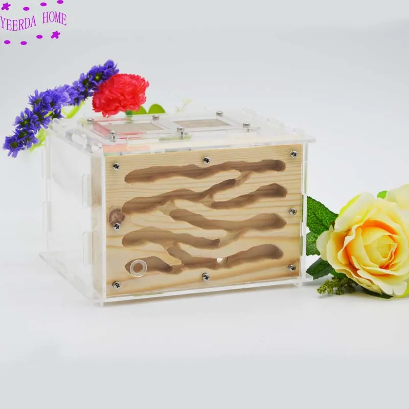 Деревянное Муравьиное гнездо акриловое насекомое вилла мастерская Детская