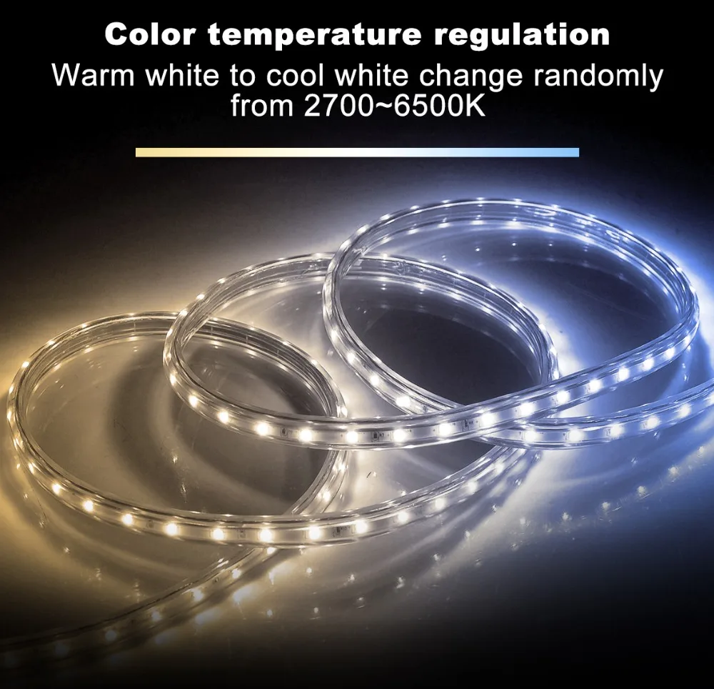 RGB+ CCT светодиодный свет rgb ww/cw DC12-24V 5 метров ip65 водонепроницаемый IP20 не водонепроницаемый rgb свет SMD 5050 SMD 2835