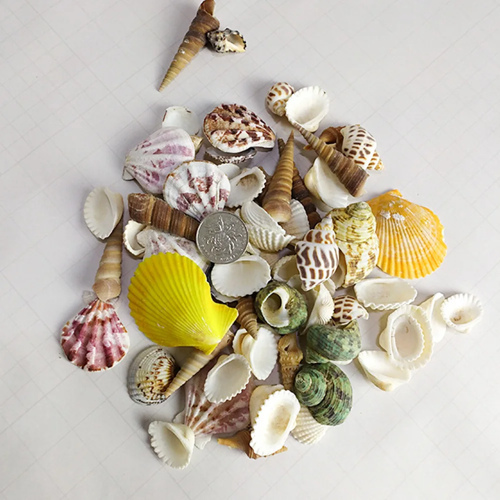 Аквариум Пляж декоративные раковины фотография Реквизит аквариум практичный