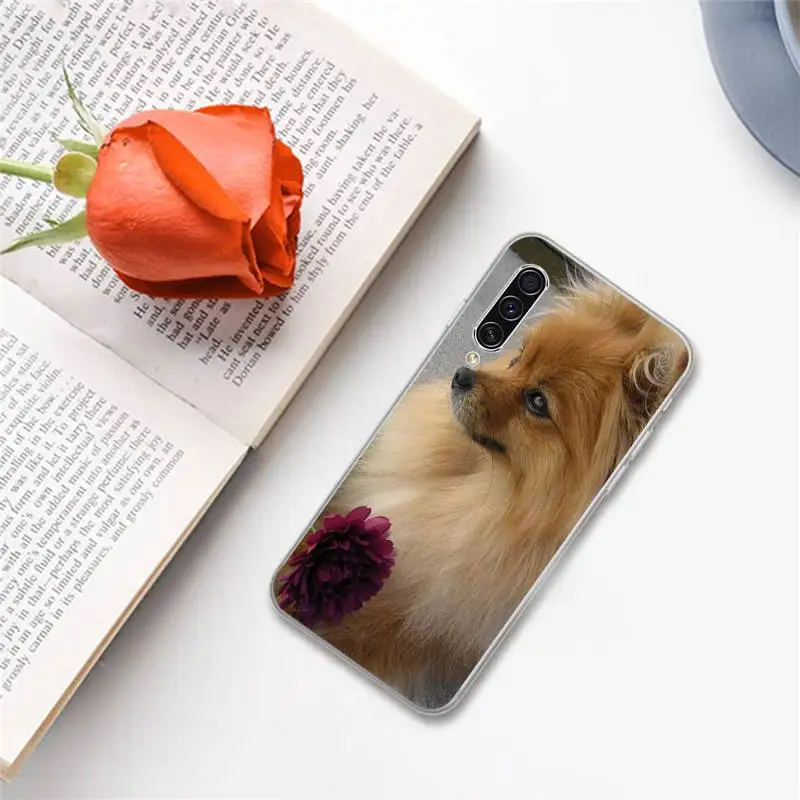 

Pomeranian dogs dog lovely Phone Case For Samsung A S M Note 9 10 20 fe 21 71 30 ultra plus 5g 11 31 51 s