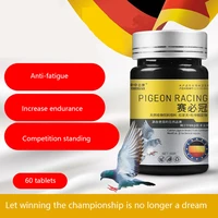 pigeon racing supplies pigeons homing pigeons races restore physical fitness anti fatigue birds parrots general