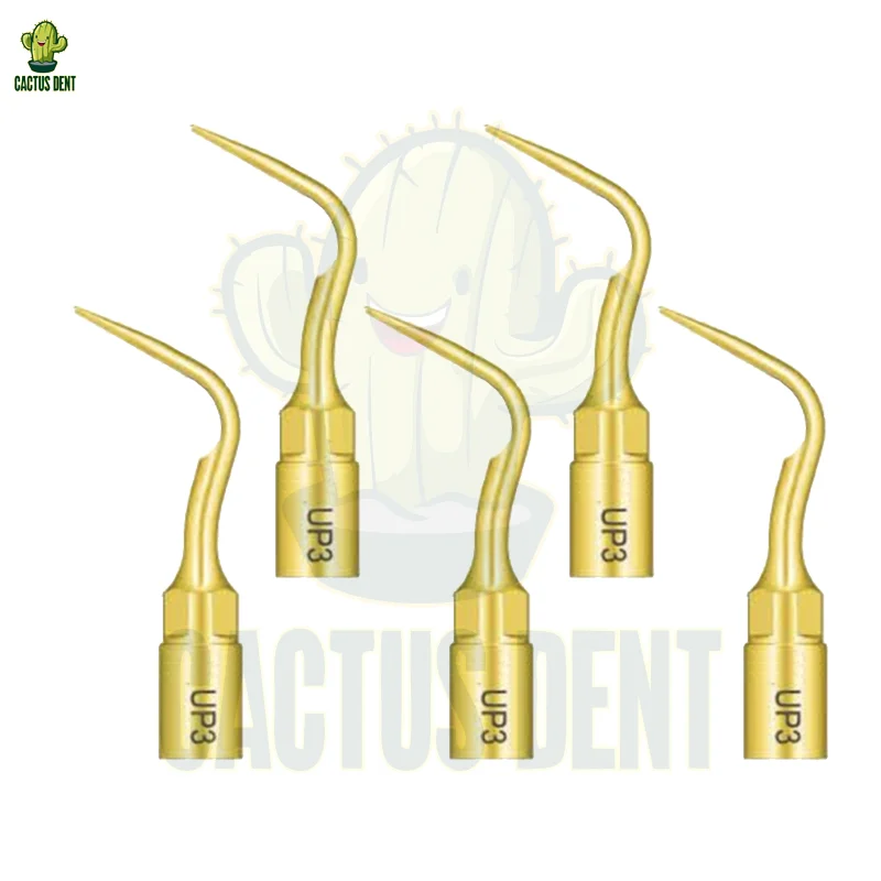 Корень удаление зубного камня Пьезоэлектрический Скейлер Ультразвуковой