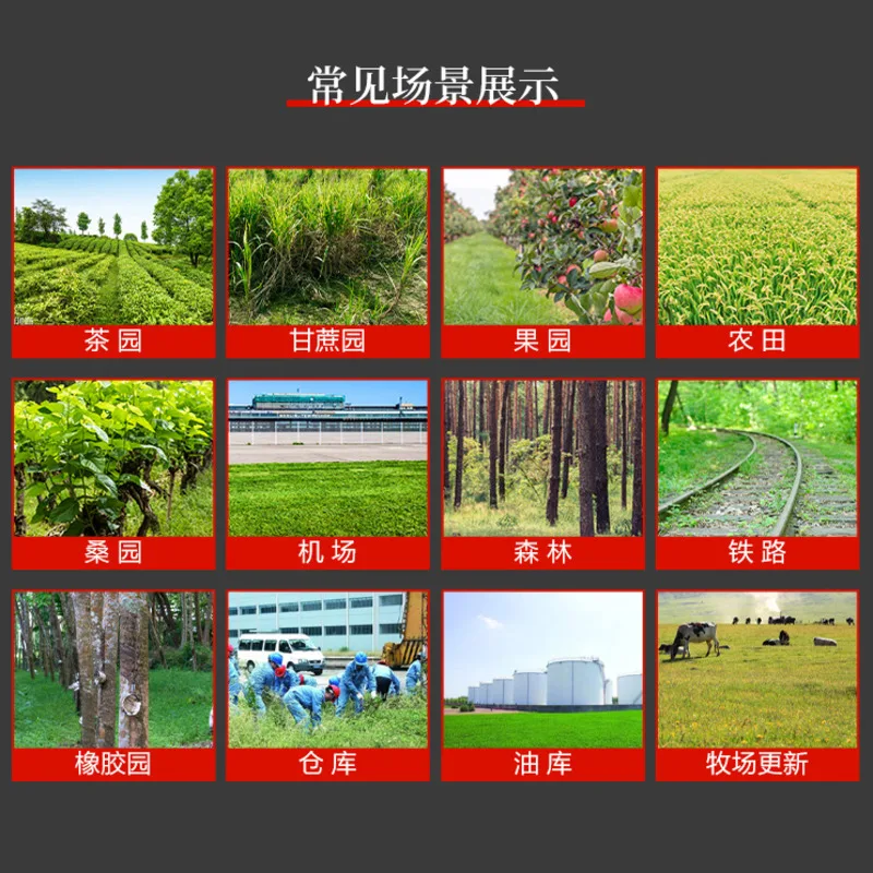 10pcs ammonium glyphosate glycine herbicide remove broadleaf grass killspesticide directional stem and Weedkiller leaf | Дом и сад