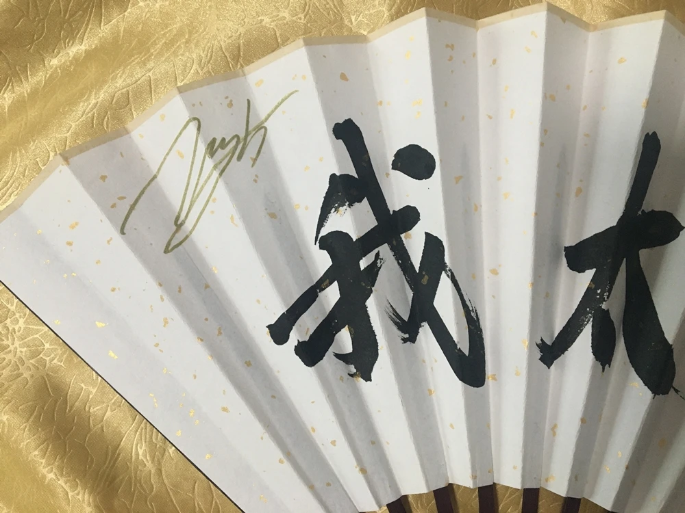 Награды Ван ибо с автографом веера Weibo 10 дюймов 082020 | Дом и сад