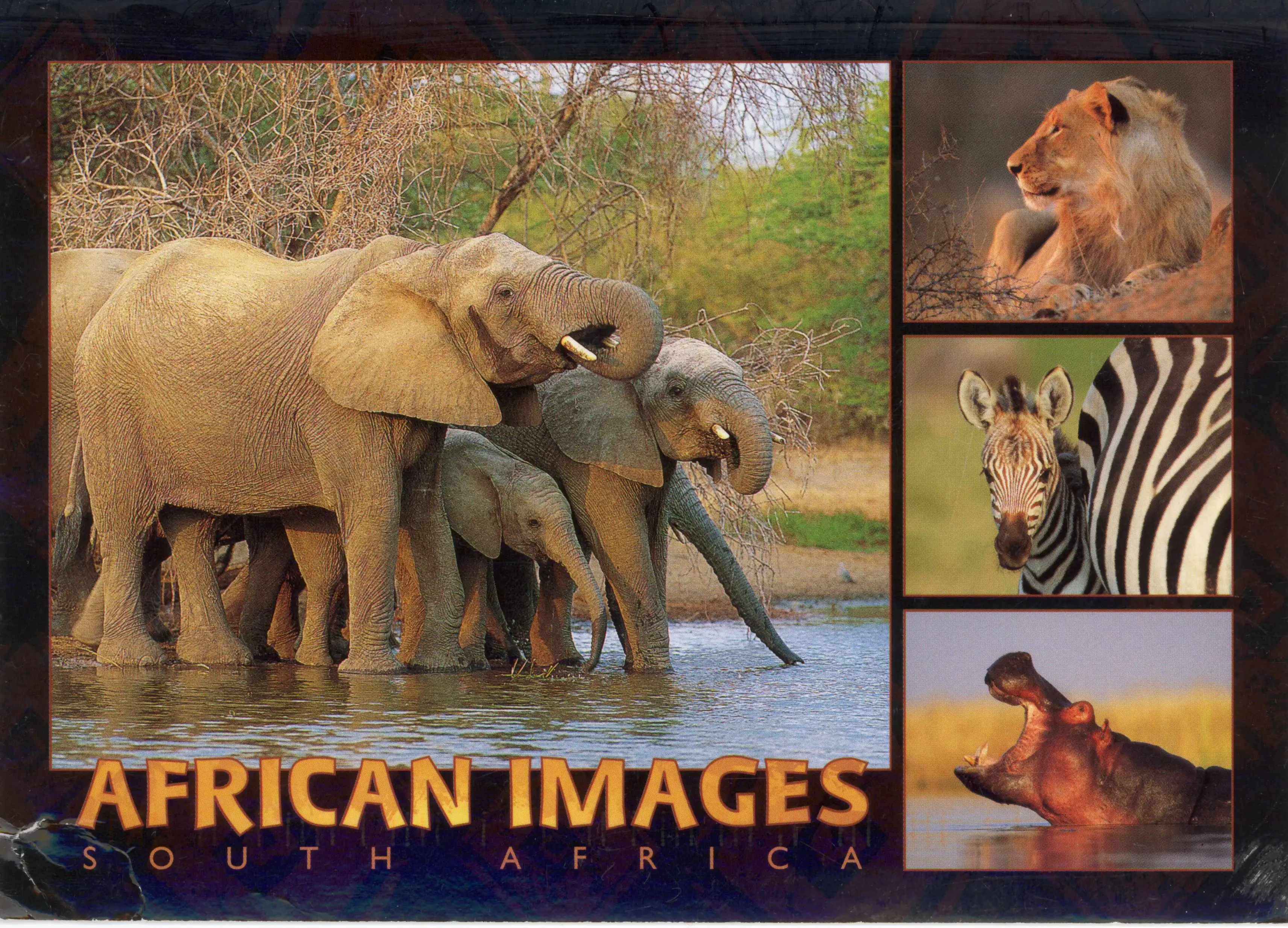 

400X300MM postcard_South_Africa jumbo fridge magnet SFM-0588