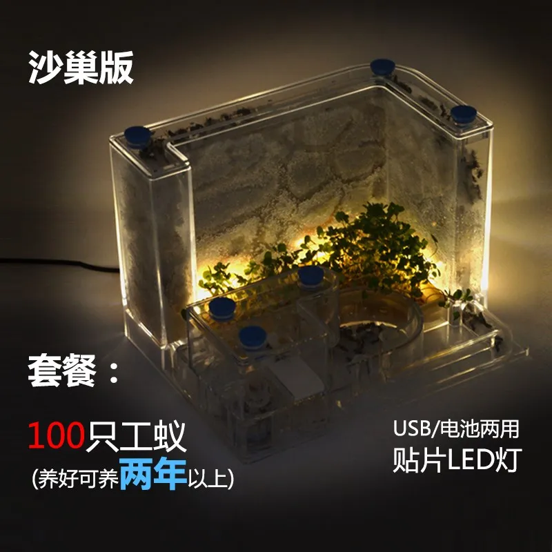 

Ant nest acrylic kingdom ant ecological box oversized castle large