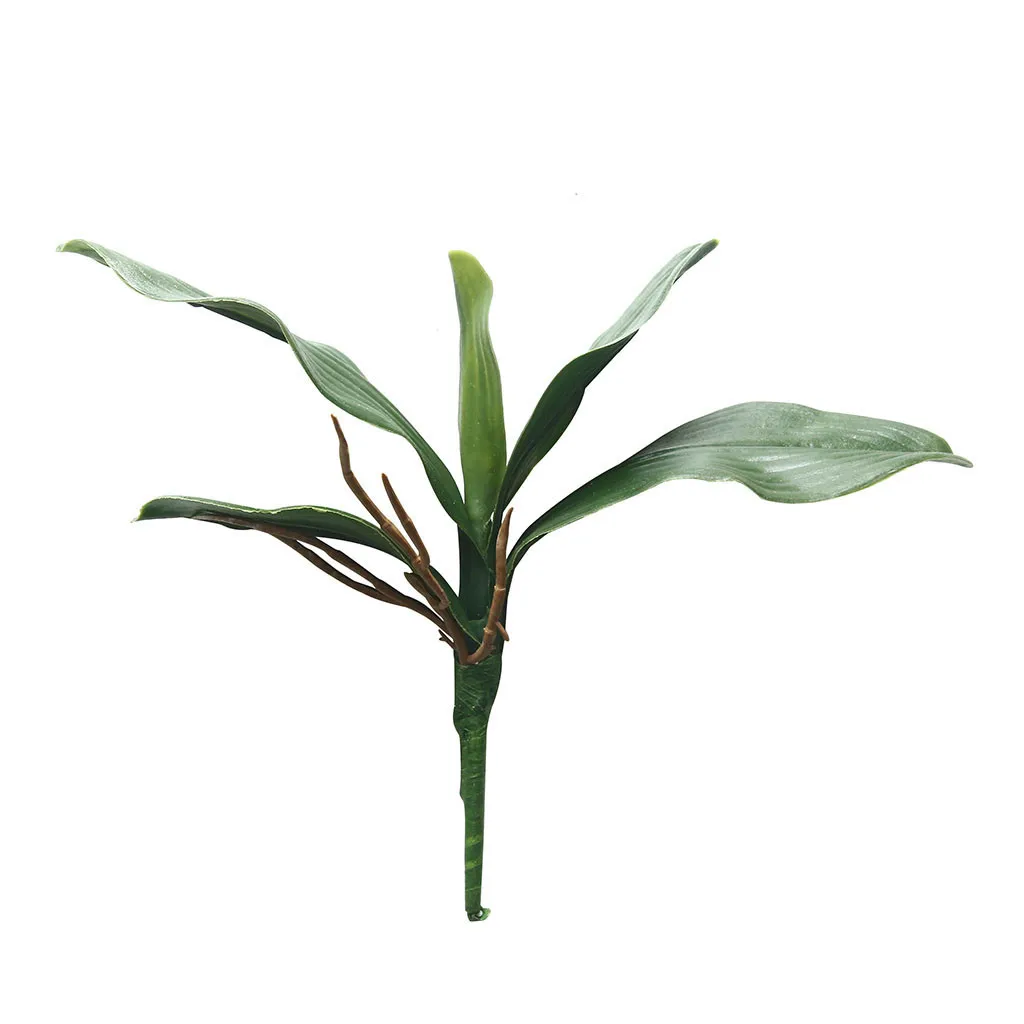 Зеленые листья для украшения домашней вечеринки фаленопсиса Орхидея