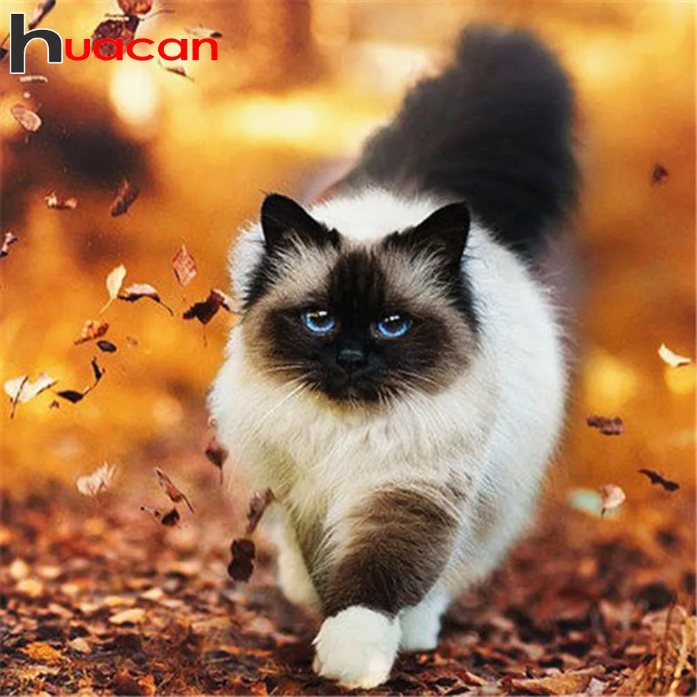 Алмазная живопись Huacan полный квадрат/круглый Новое поступление кот алмазная