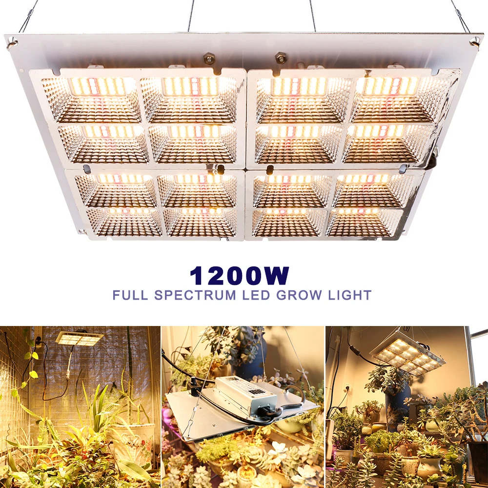 1200W 384 Osran Meanwell Dimmable Full Spectrum Warm White Led Grow Light For Hydroponic Greenhouse Indoor Plants