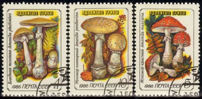 Коллекция почтовых отправлений штампов советского гриба 1986 3 шт.|Штампики| |