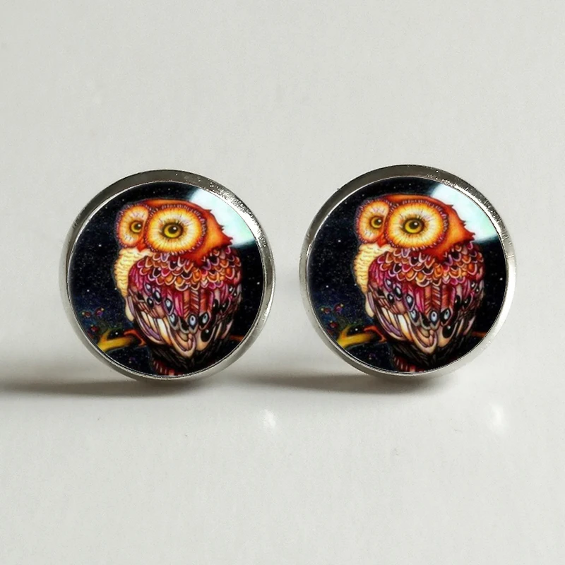 

Owl Photo Stud Earrings Round Glass Fashion Stud Earrings Birthday Gift