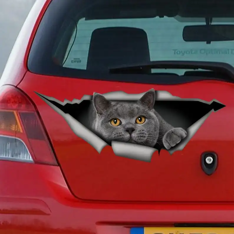 

2021 British Shorthair decal, gray cat car decal, funny sticker, cat car sticker