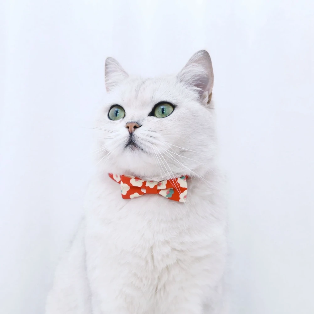 Ошейник с бантом для кошек Регулируемый аксессуар цветочным рисунком домашних